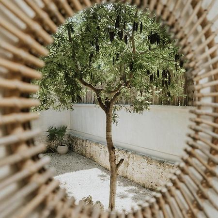 Casa Chimi Tulum Bed & Breakfast Dış mekan fotoğraf