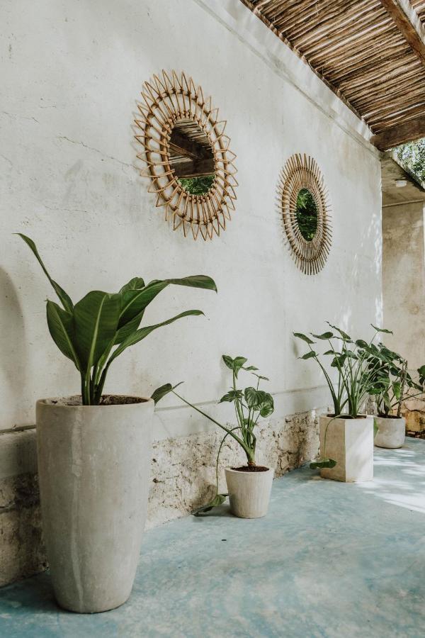 Casa Chimi Tulum Bed & Breakfast Dış mekan fotoğraf